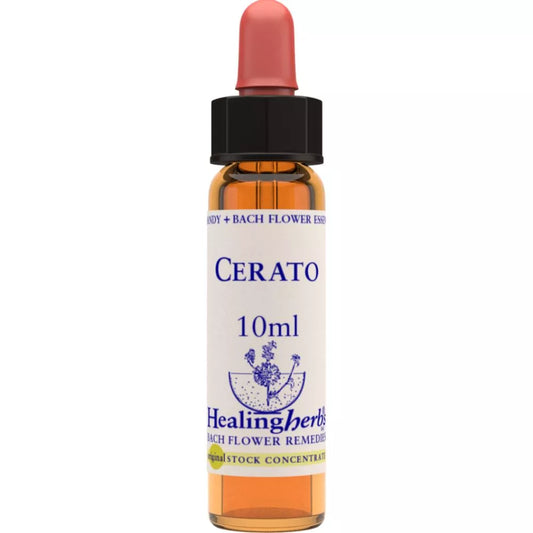 Healing Herbs Cerato