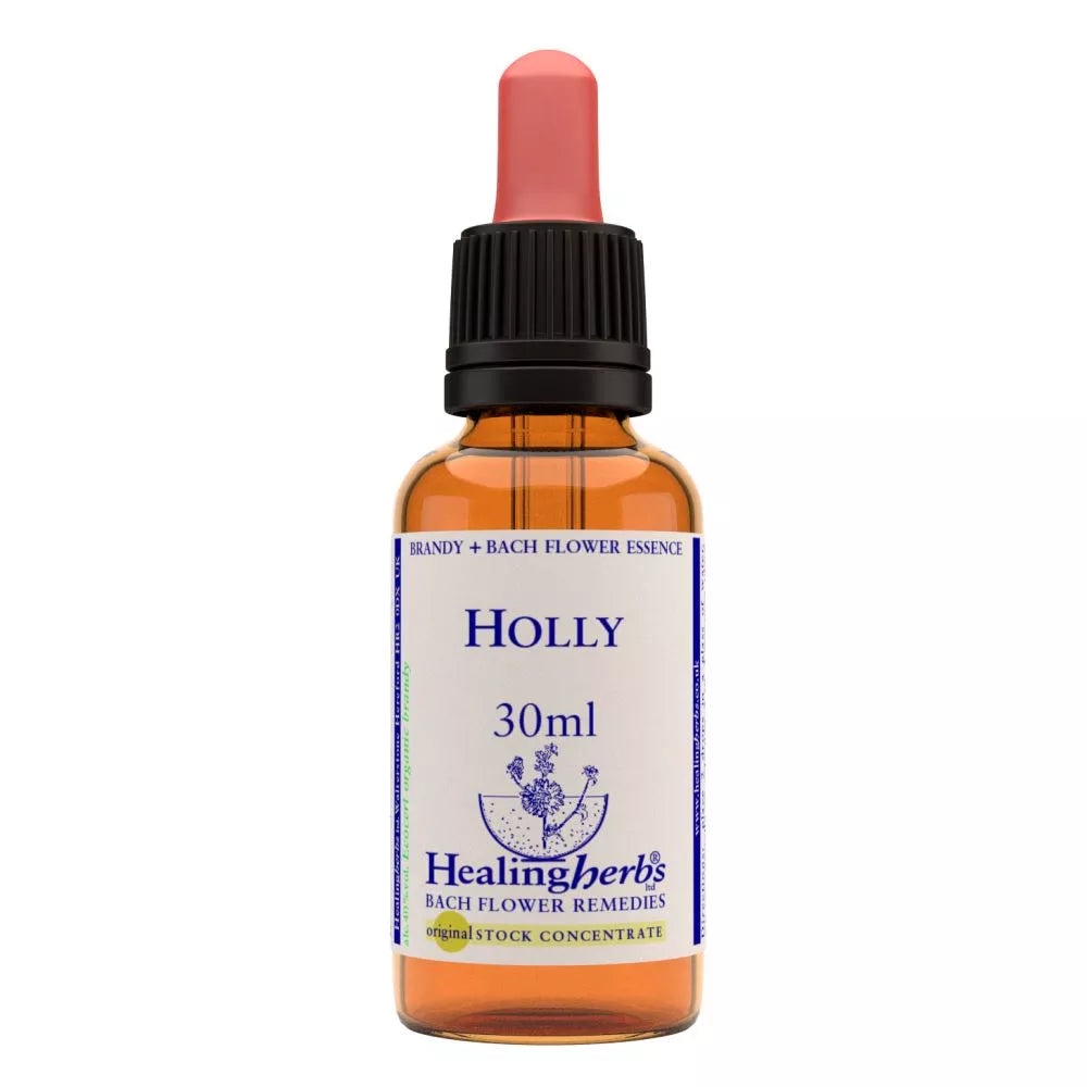 Healing Herbs Holly