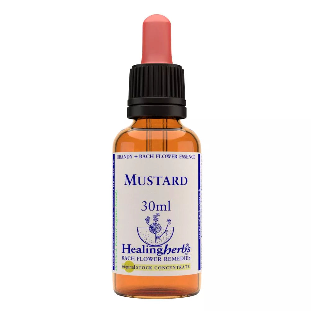 Healing Herbs Mustard