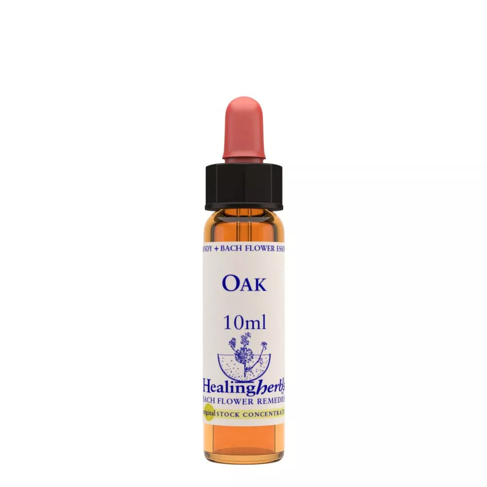 Healing Herbs Oak