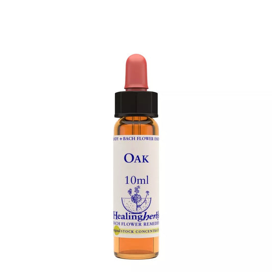 Healing Herbs Oak
