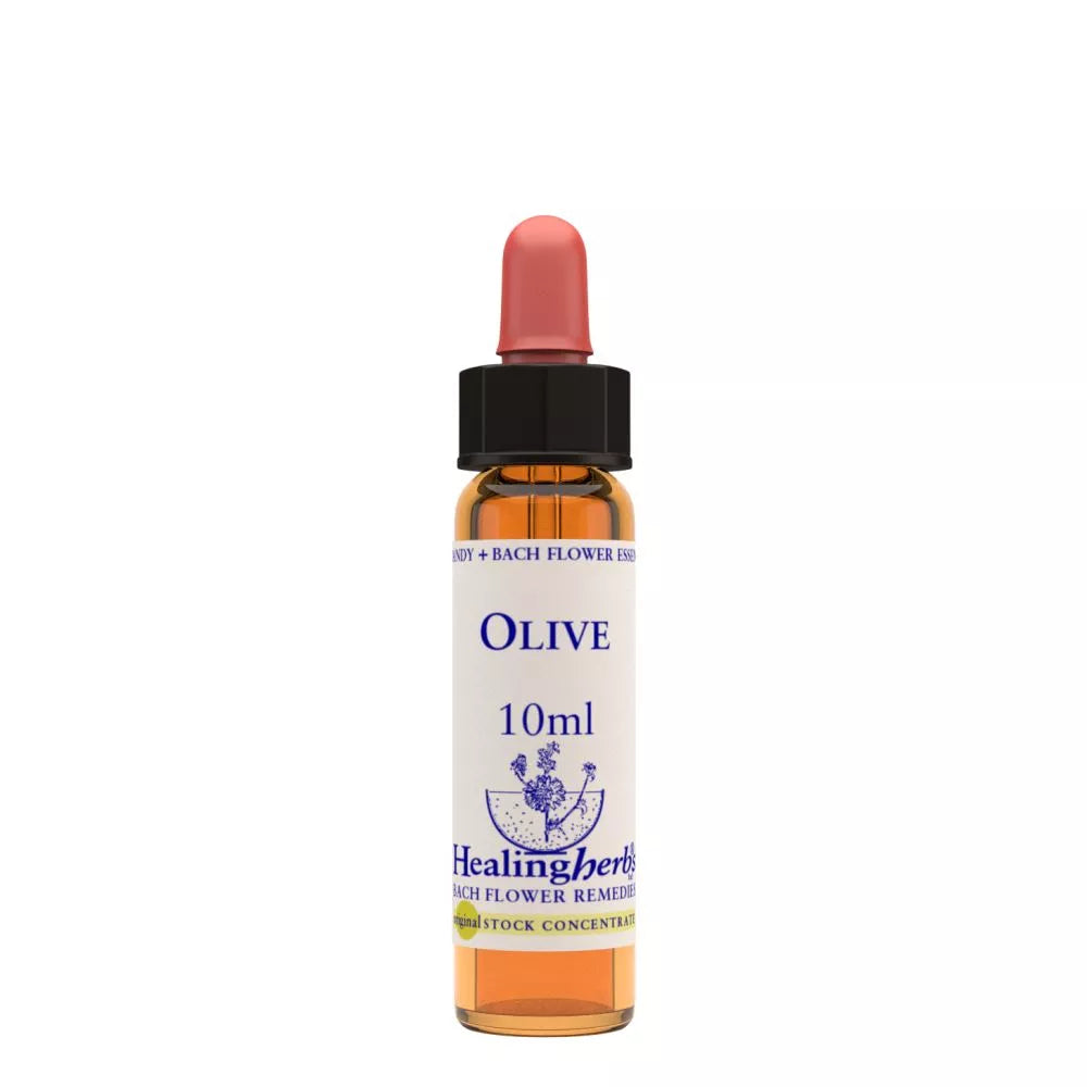Healing Herbs Olive