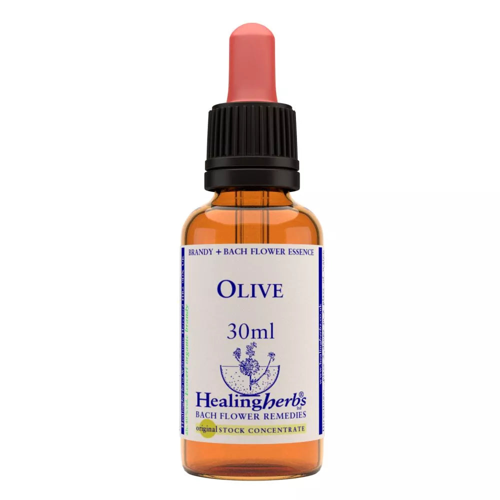 Healing Herbs Olive