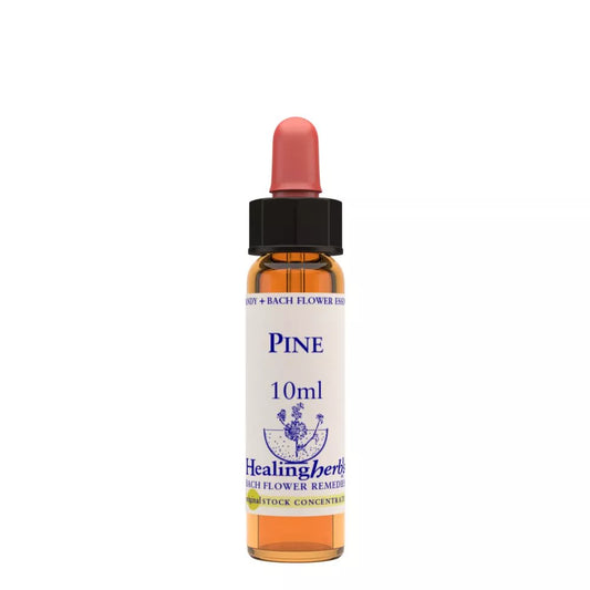 Healing Herbs Pine