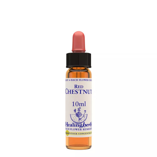 Healing Herbs Red Chestnut