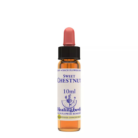 Healing Herbs Sweet Chestnut