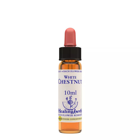 Healing Herbs White Chestnut