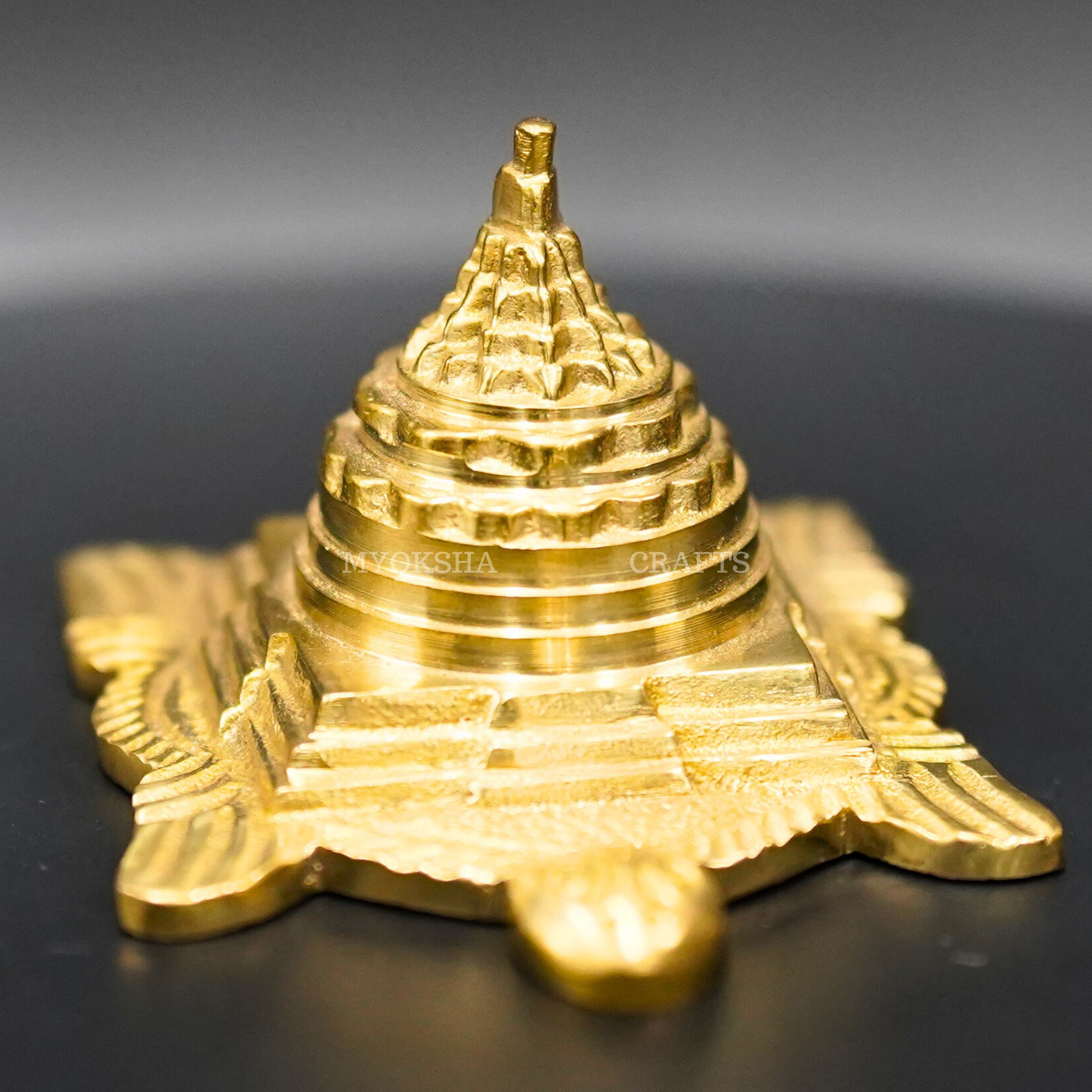 ri Yantra on Tortoise for Vastu - Harness Positive Energy and Balance in Your Space - 1