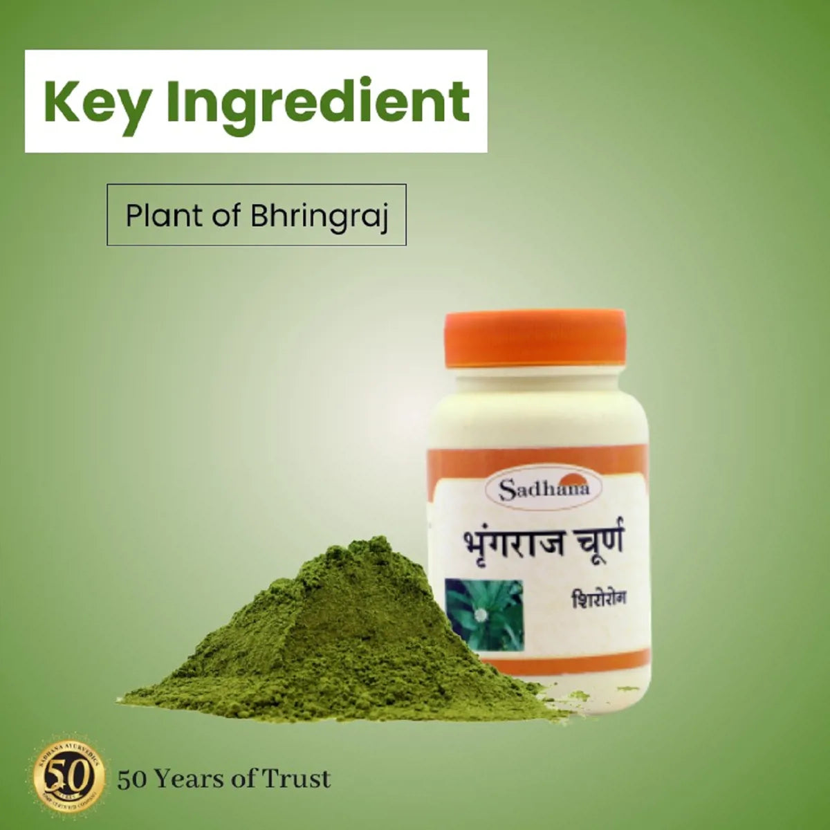 Sadhana Bhringraj Powder 