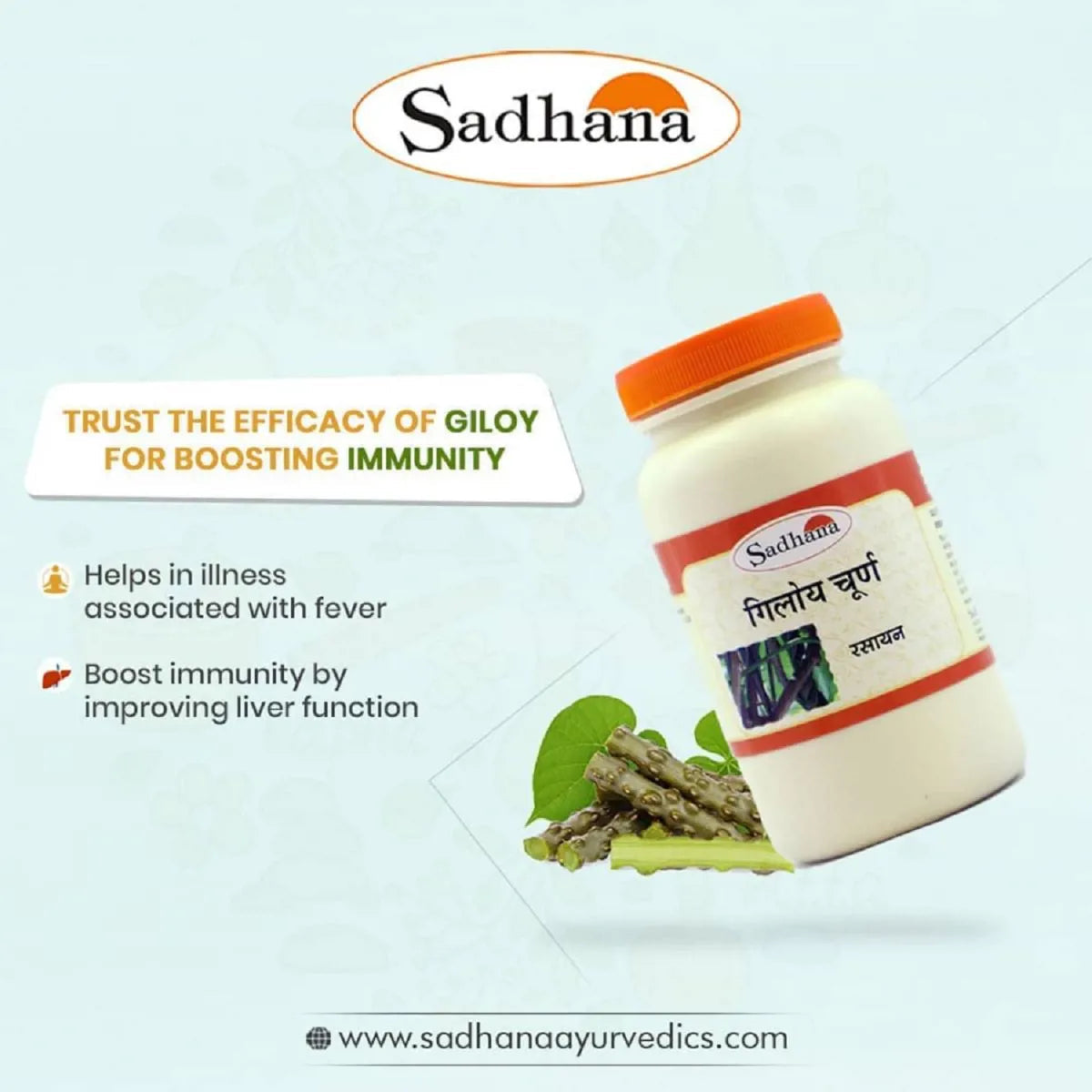 Sadhana Giloy Powder 
