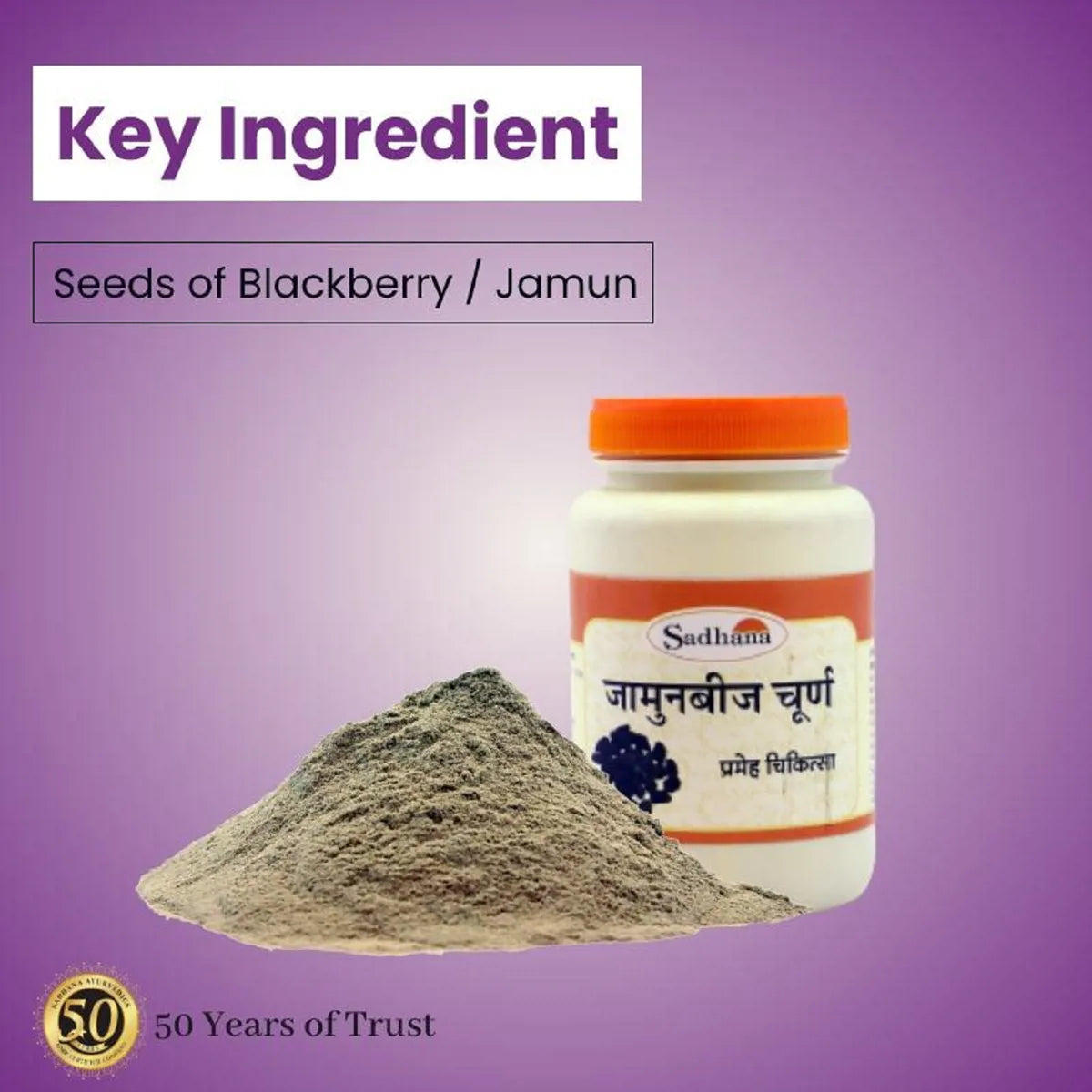 Sadhana Jamunbeej Powder 