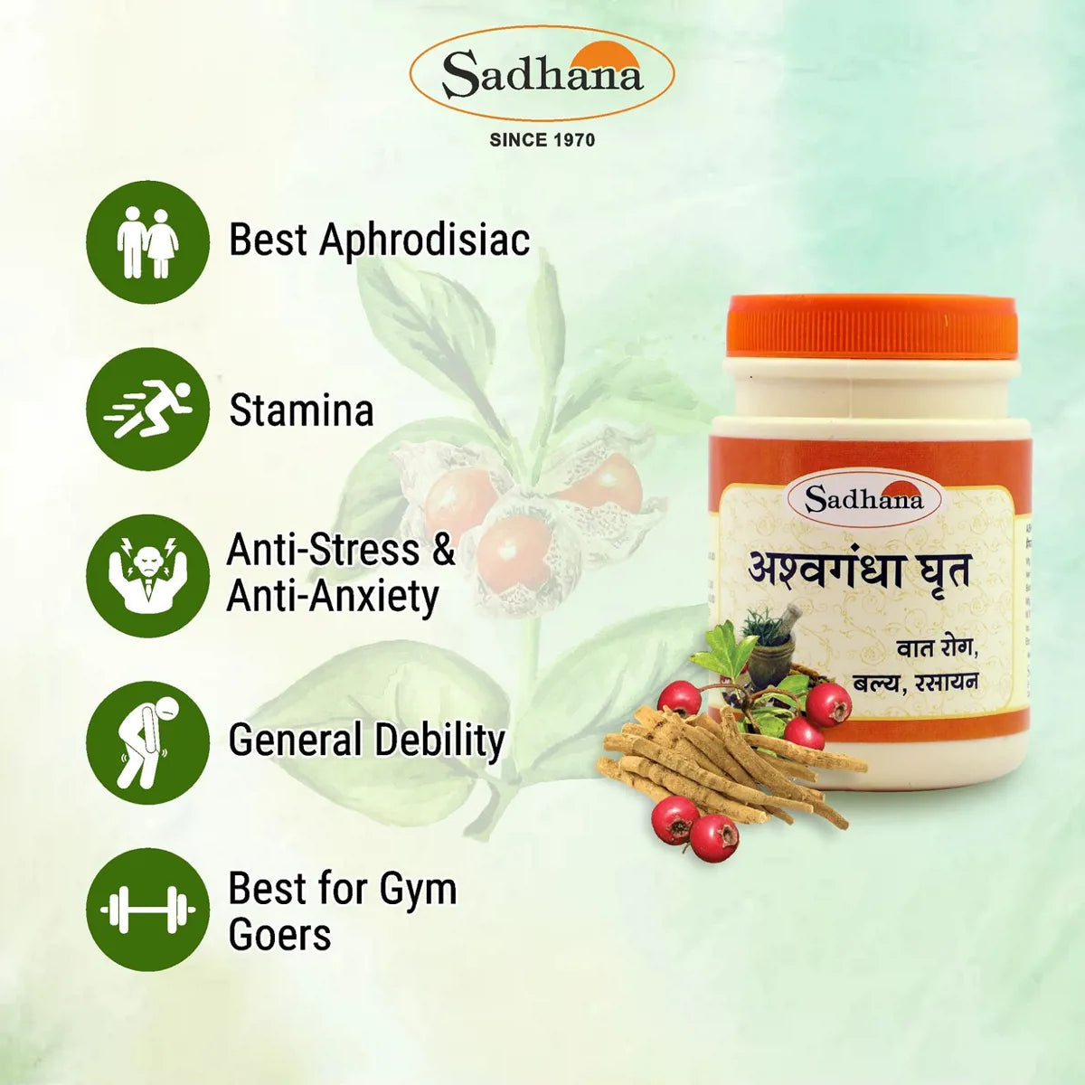 Sadhana Ashwagandha Ghrita 