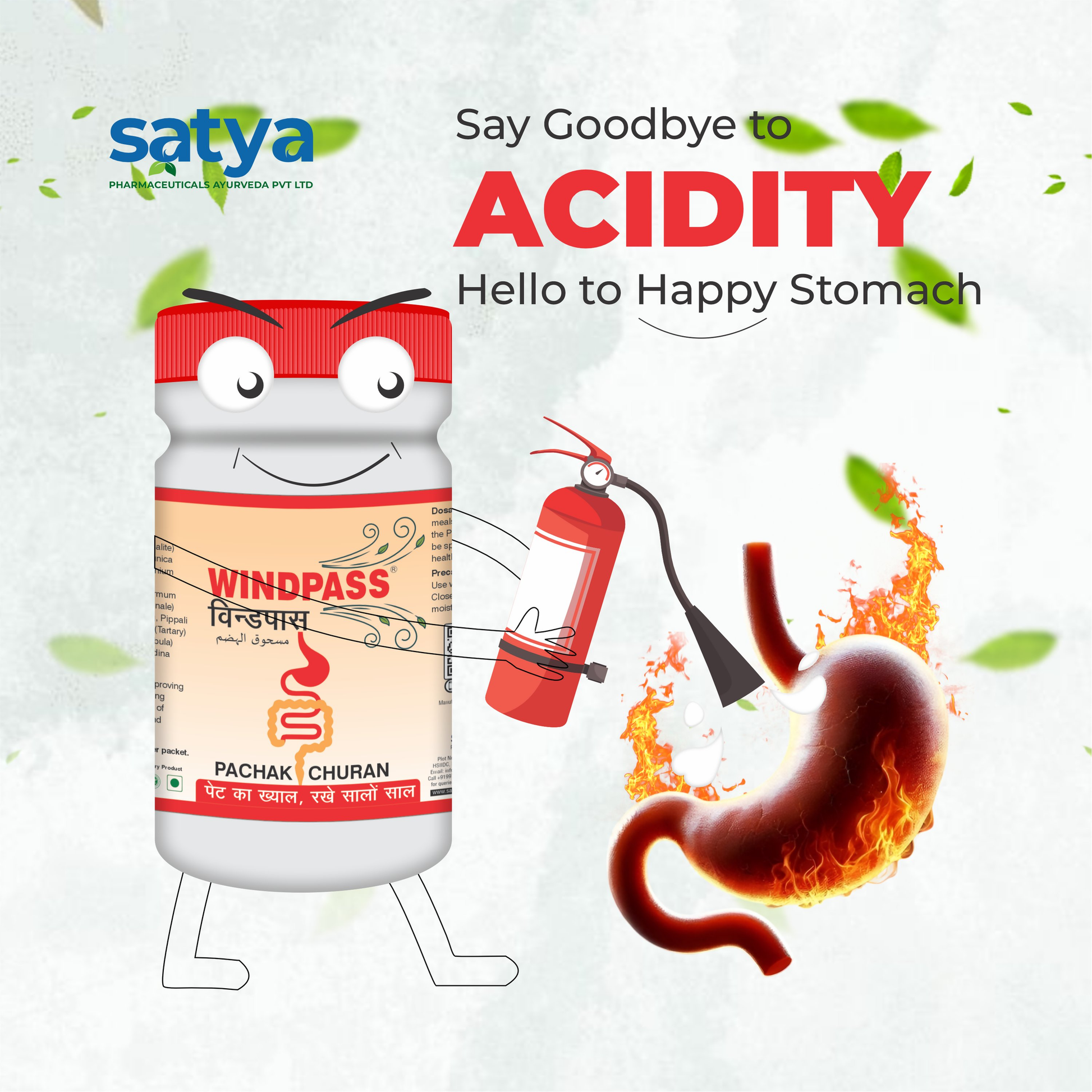Satya Pharmaceuticals Ayurveda Windpass Pachak Churan 