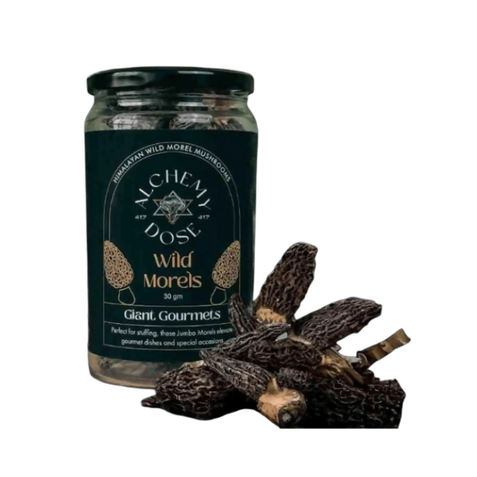 Alchemy Dose Sun-Dried Morel Mushrooms