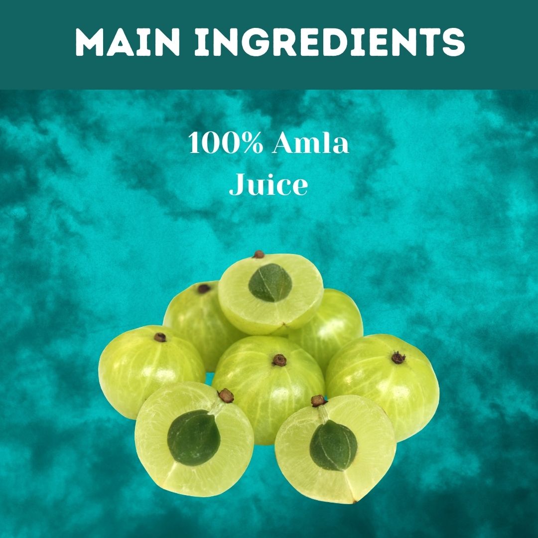 Herbal Hills Amla Swaras Health Juice 