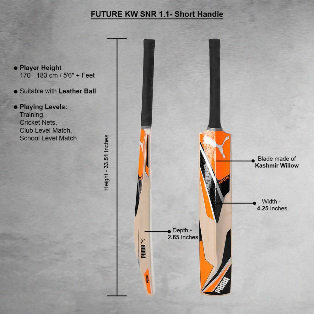 Puma Future Kashmir Willow Cricket Bat 
