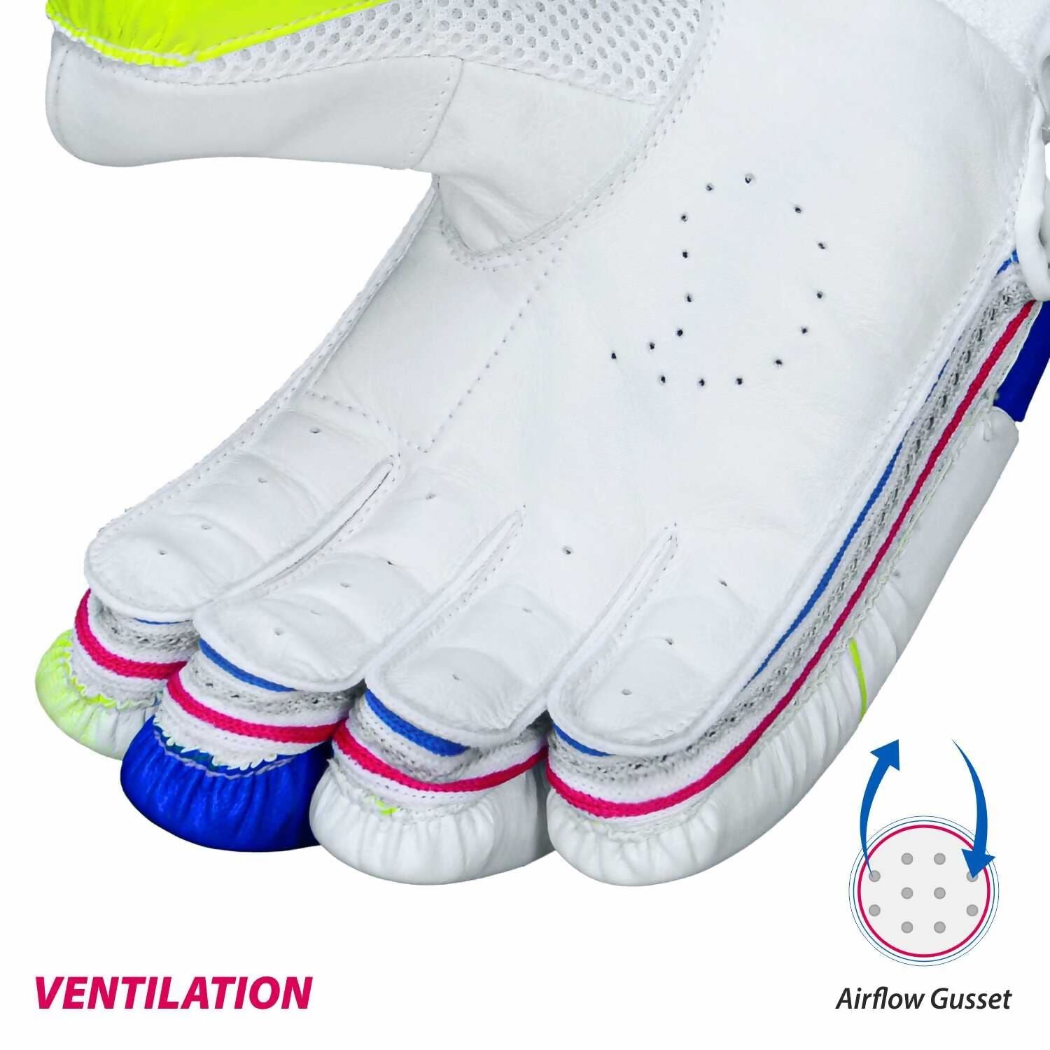 DSC Intense Attitude Men's Cricket Batting Gloves (Colour May Vary) 