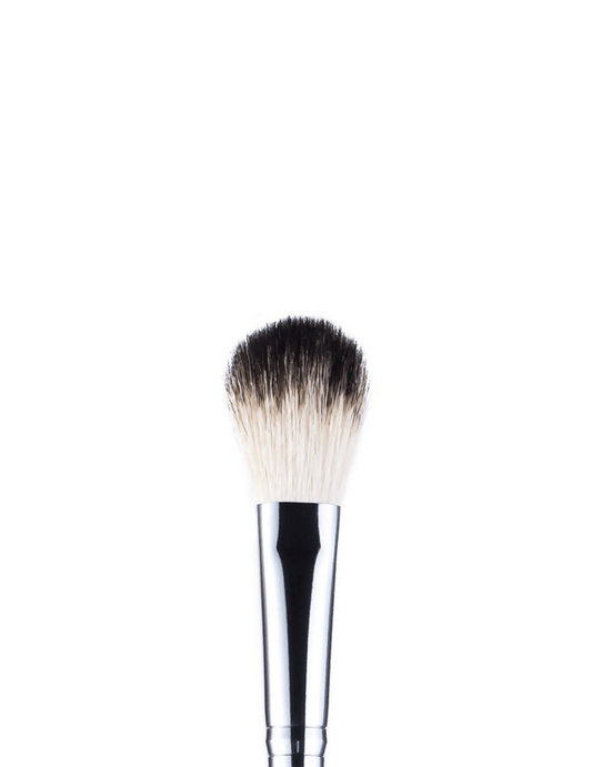 Anastasia Beverly Hills Brush A23 