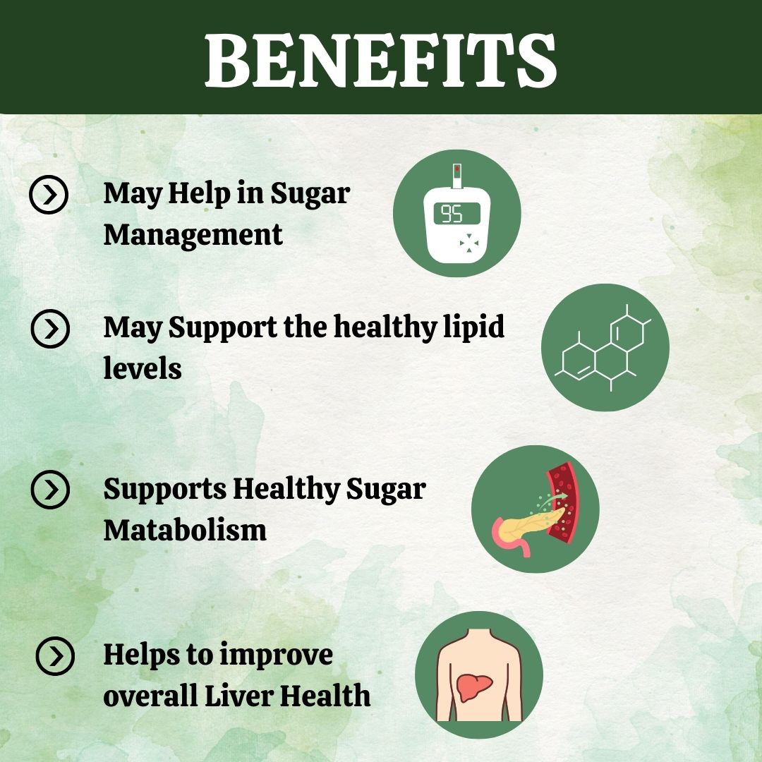 Herbal Hills Gurmar Powder 