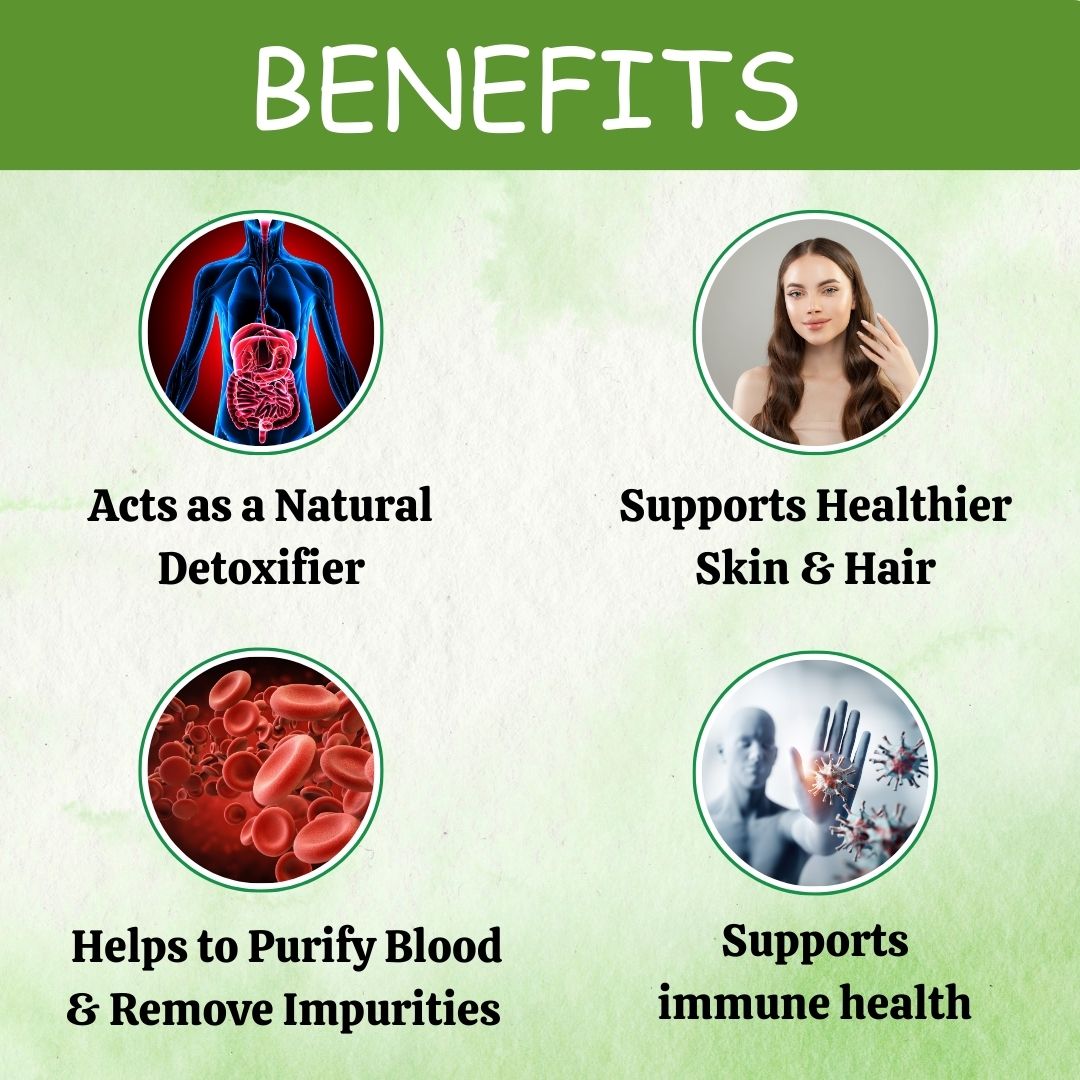 Herbal Hills Ayurveda Neem Powder 