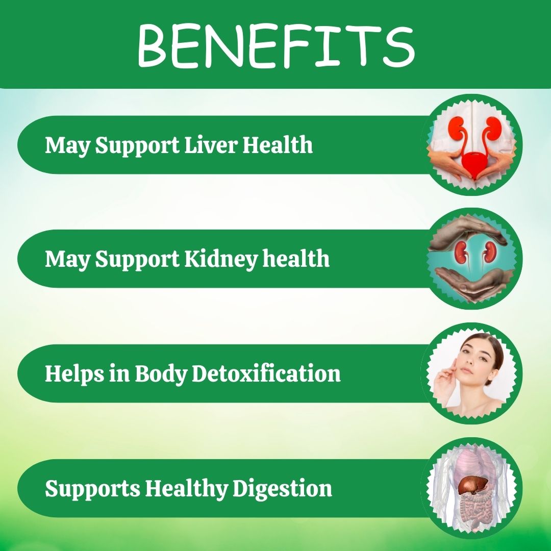 Herbal Hills Ayurveda Punarnava Powder 
