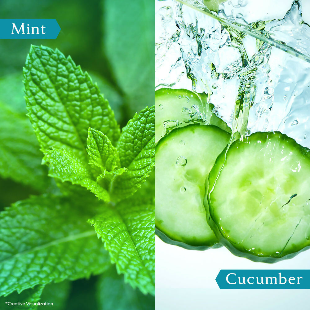 Vivel Cooling Body Wash Mint & Cucumber Moisturizing Shower Gel Supersaver Refill Pouch  Grab2Buy Vivel Grab2Buy