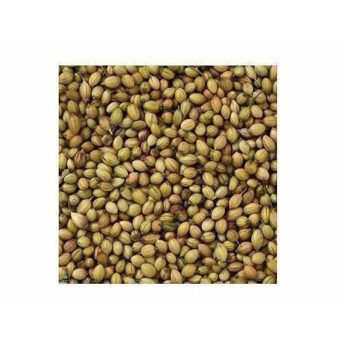 Coriander Seeds