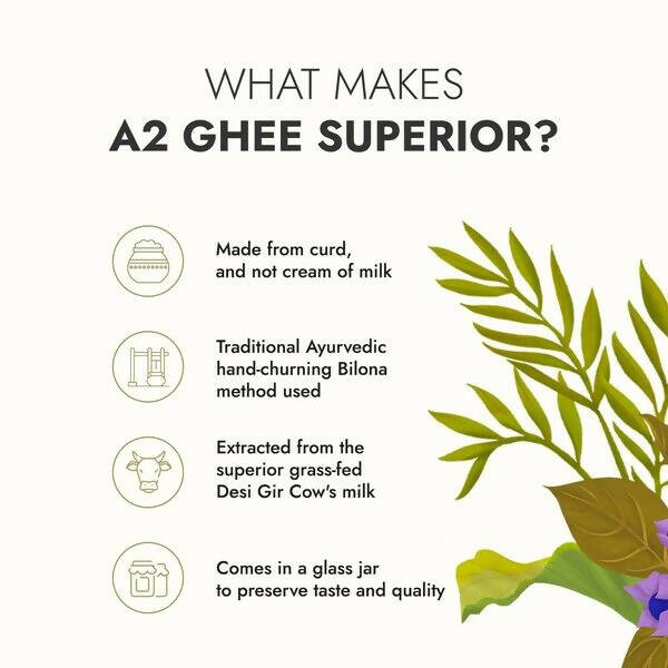 Kapiva A2 Desi Cow Ghee | Pure A2 Milk Ghee for Digestion, Immunity & Ayurvedic Cooking 