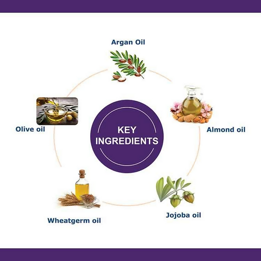 download - 2024-12-02T125233.175