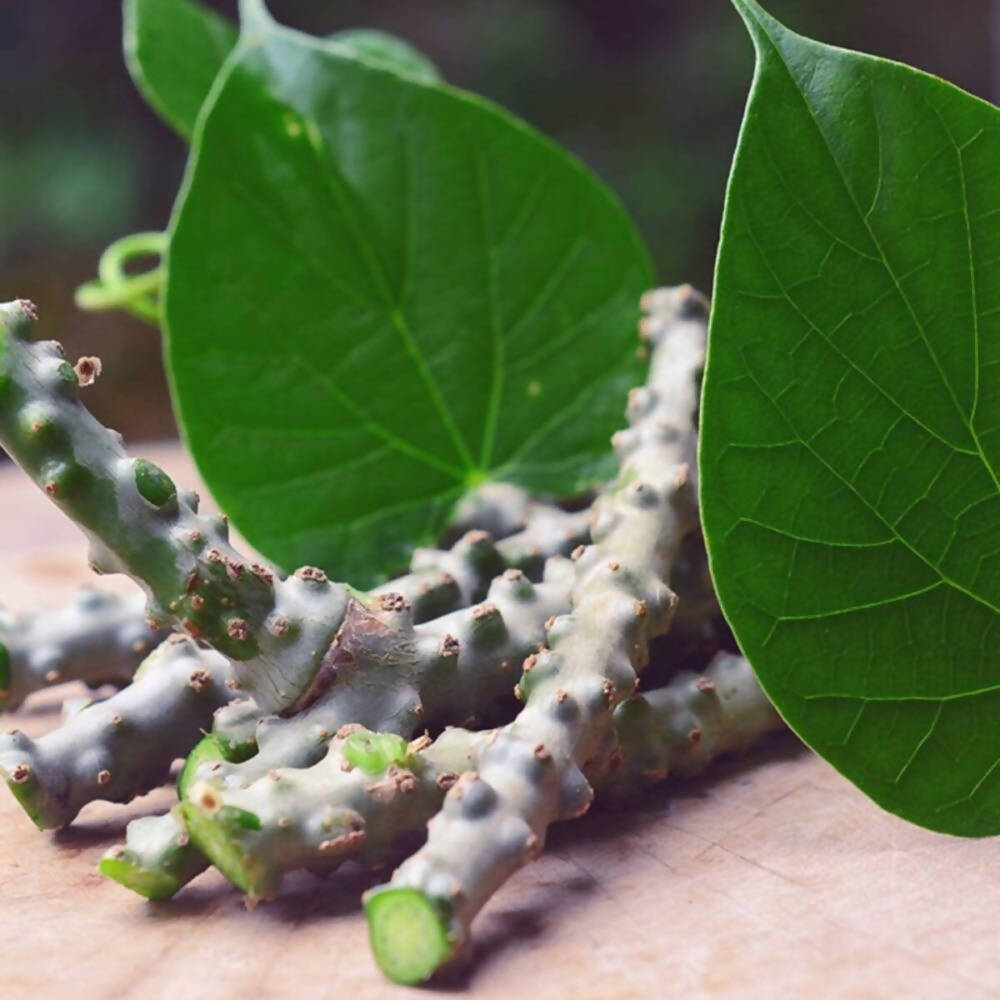 Freshon Amruthaballi Powder 