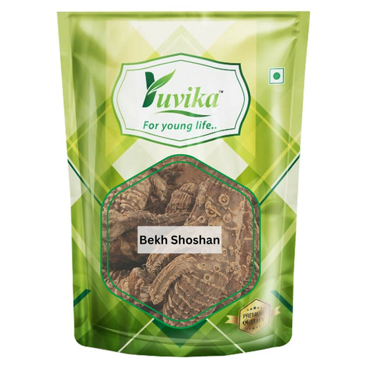 Yuvika Bekh Shoshan - Begshoshan 