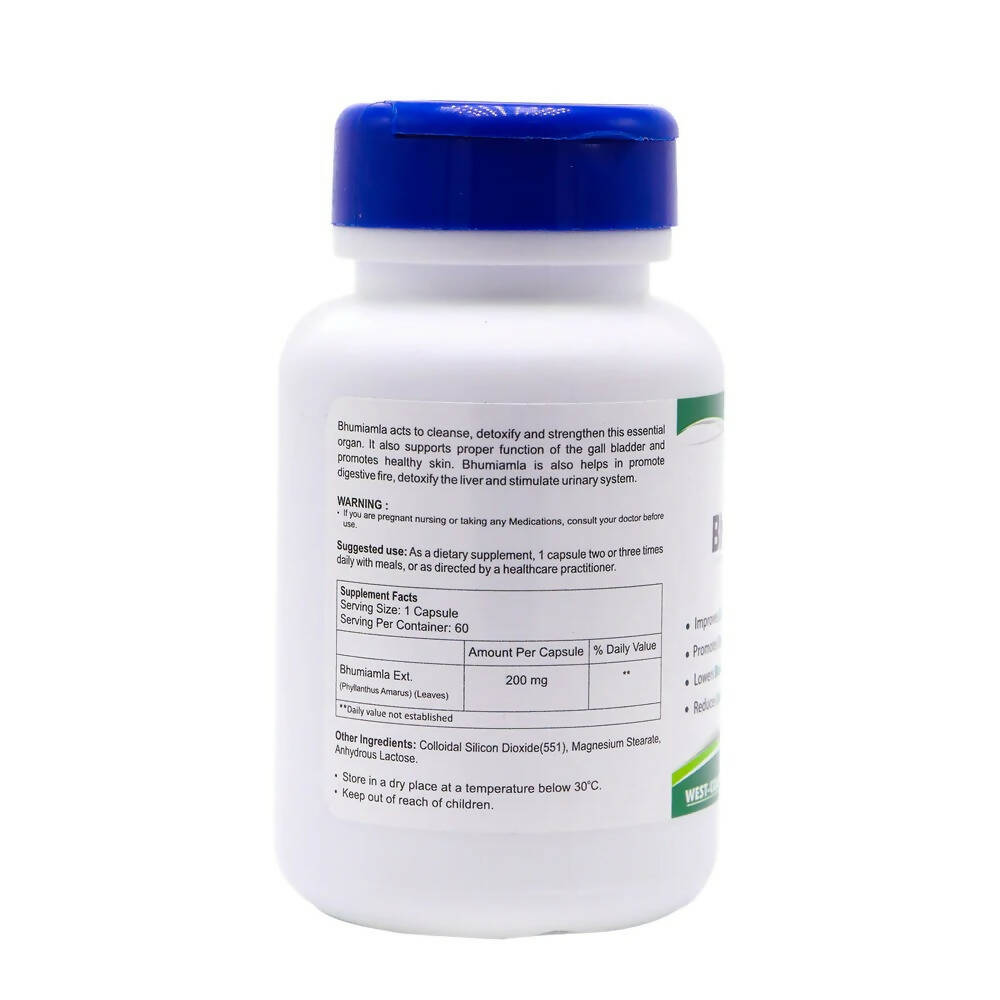 Healthvit Bhumiamla Capsules - Grab2buy