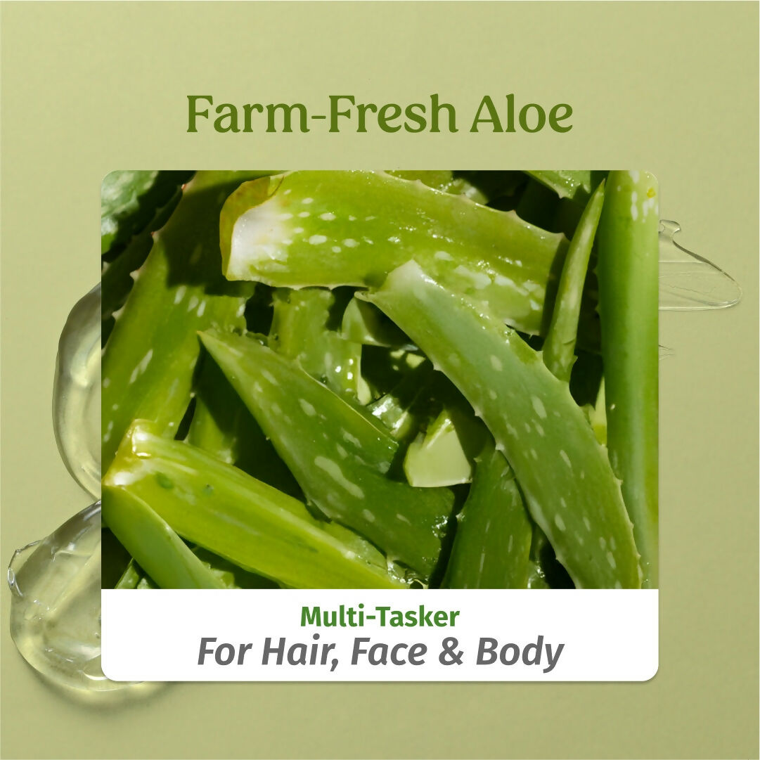 Vilvah Store Aloe Vera Gel (Multi-Purpose Skin & Hair Care)  Grab2Buy Vilvah Store Grab2Buy