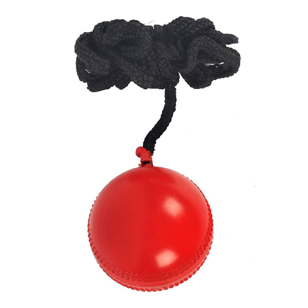 SG Iball Synthetic Hanging Ball - Red 