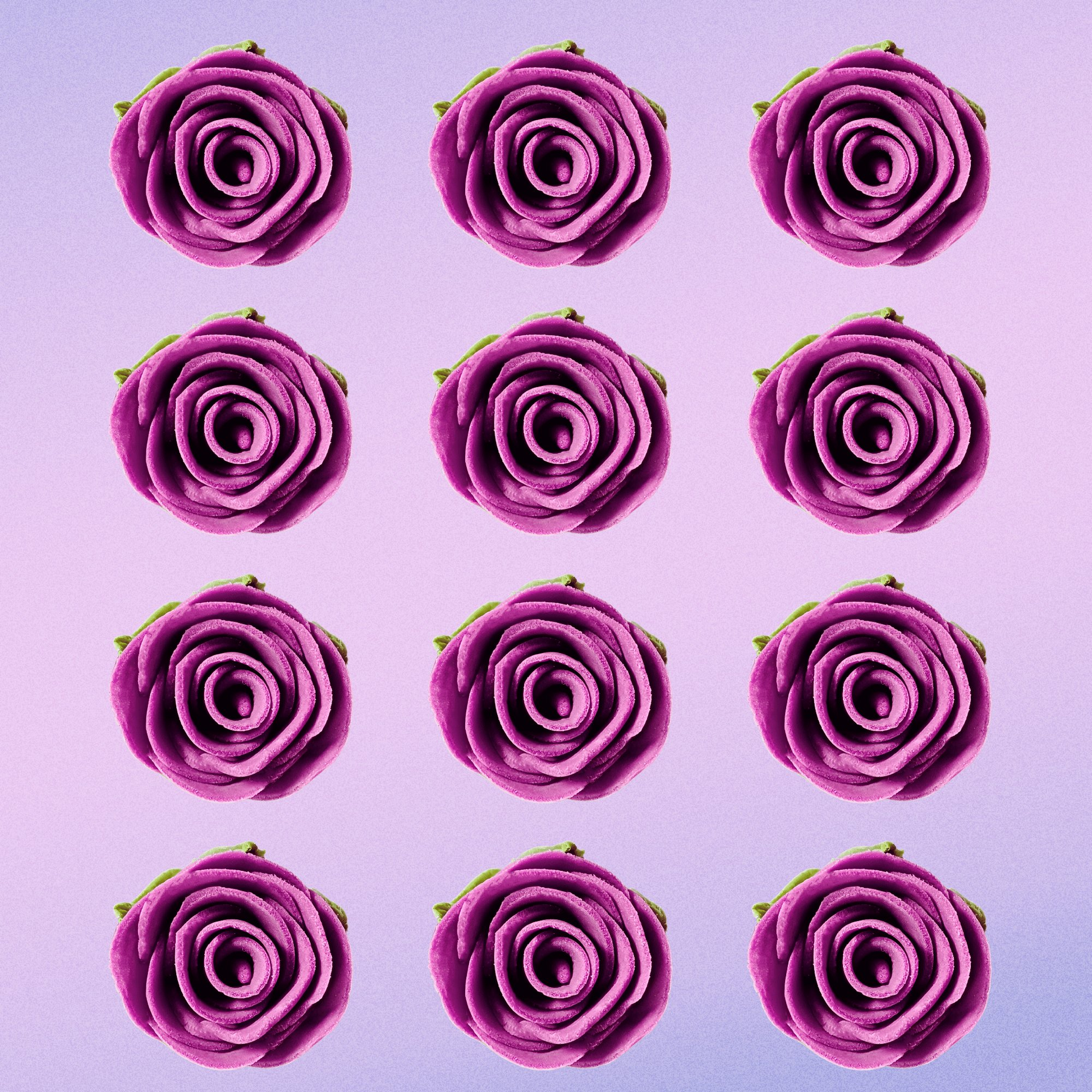 Confect Fuchsia Pink | Edible Sugar Flowers