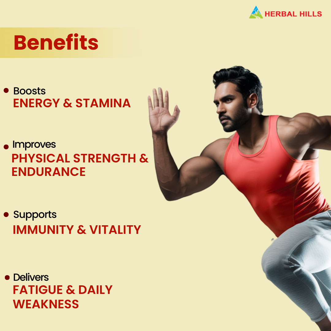 Herbal Hills Sjills Suspension Vitality Support Syrup 