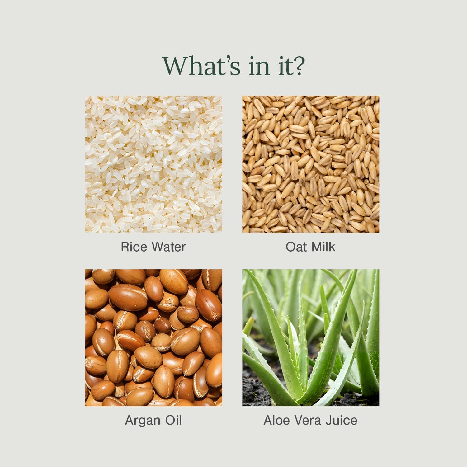 Certified Organic Moisturising Daily Use Shampoo Fortified with Rice Water + Oat Milk 