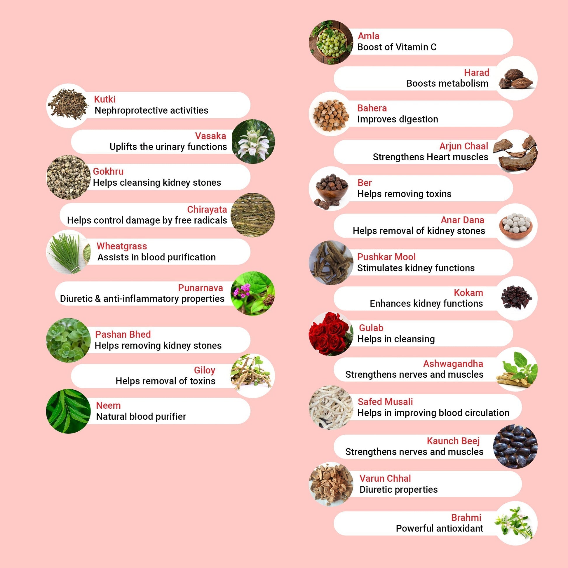 Krishna'S Herbal & Ayurveda Kidney Re-Live Tablets 