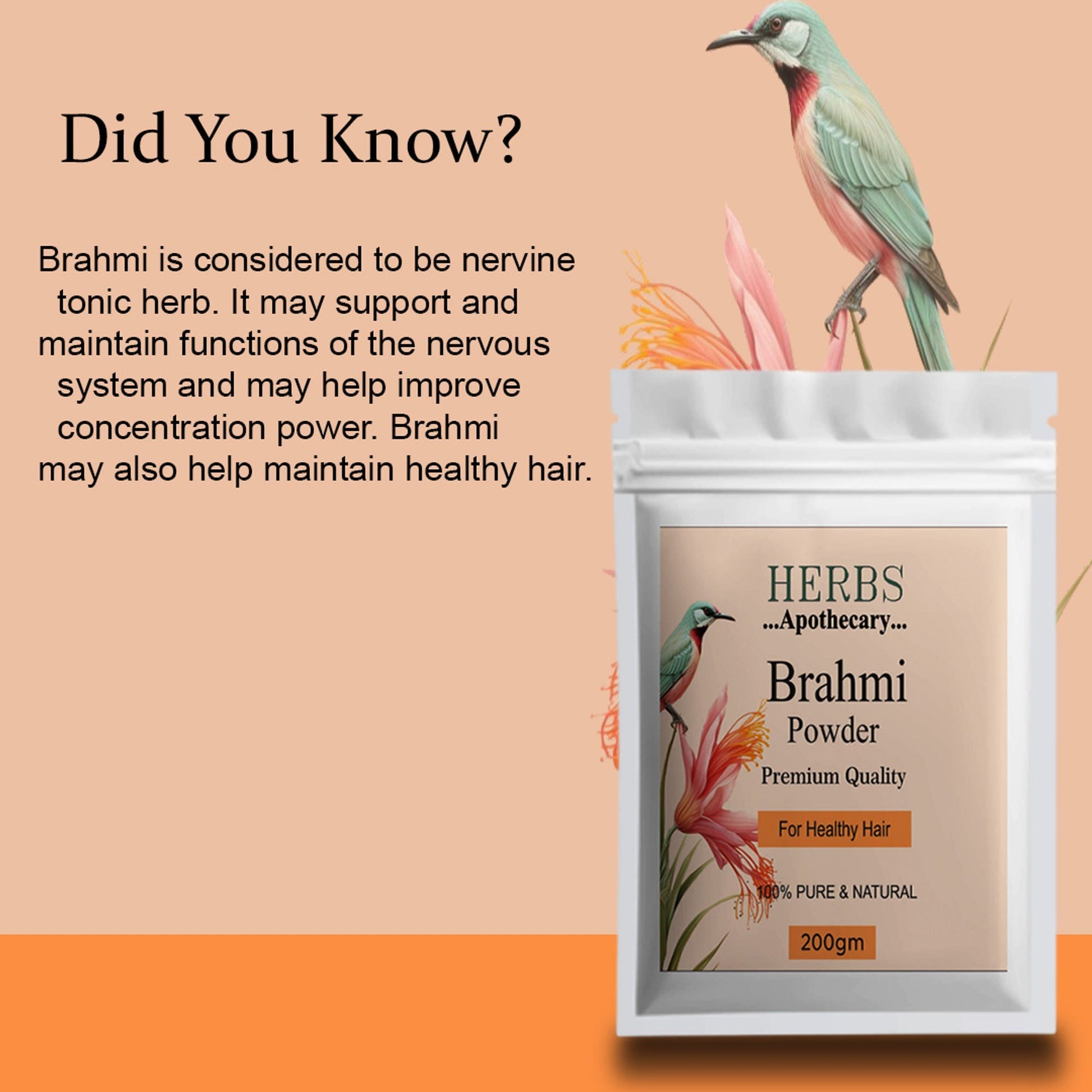 Zenvista Herbs Apothecary Brahmi Powder For Hair  Grab2Buy Zenvista Grab2Buy