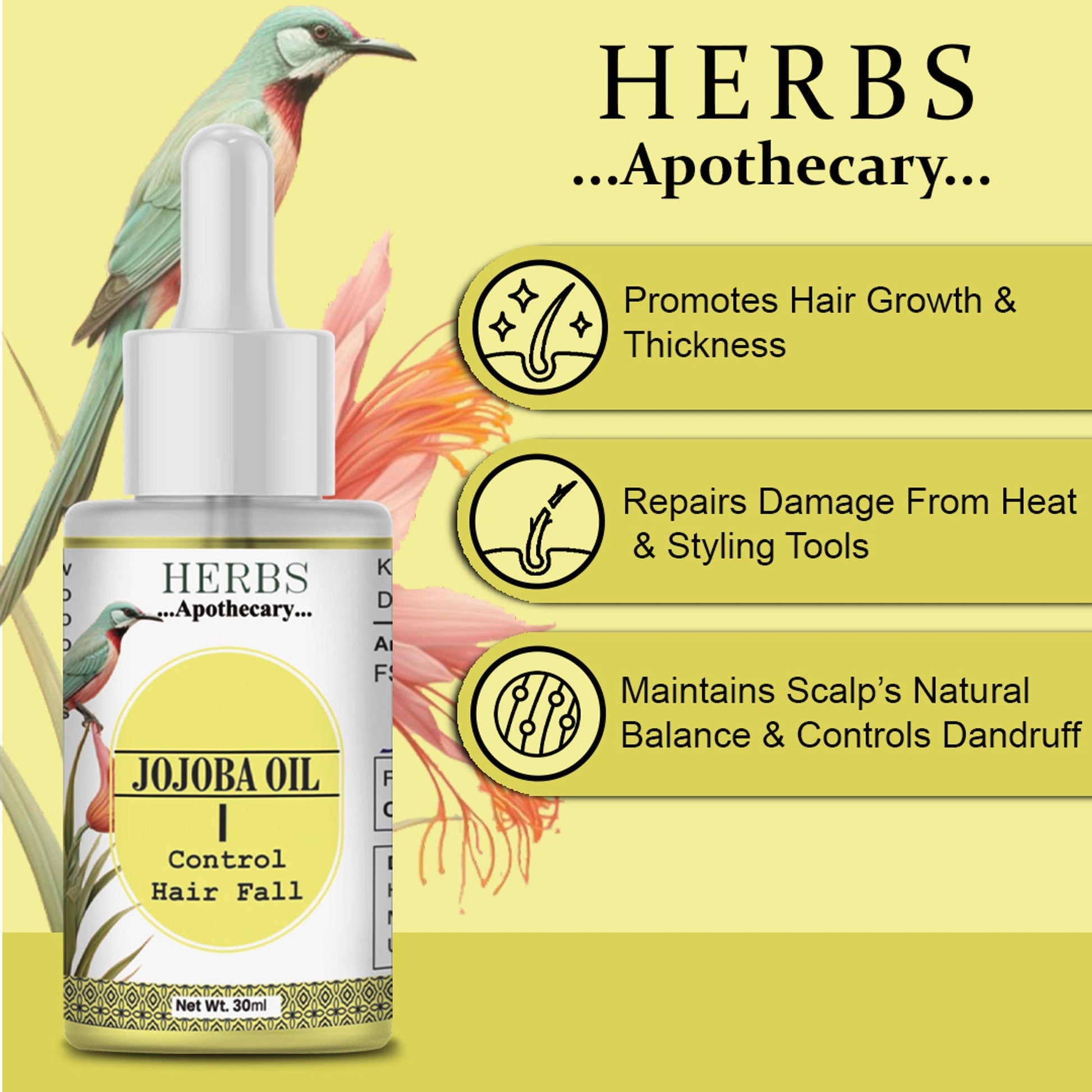 Zenvista Herbs Apothecary Jojoba Oil For Control Hair Fall  Grab2Buy Zenvista Grab2Buy