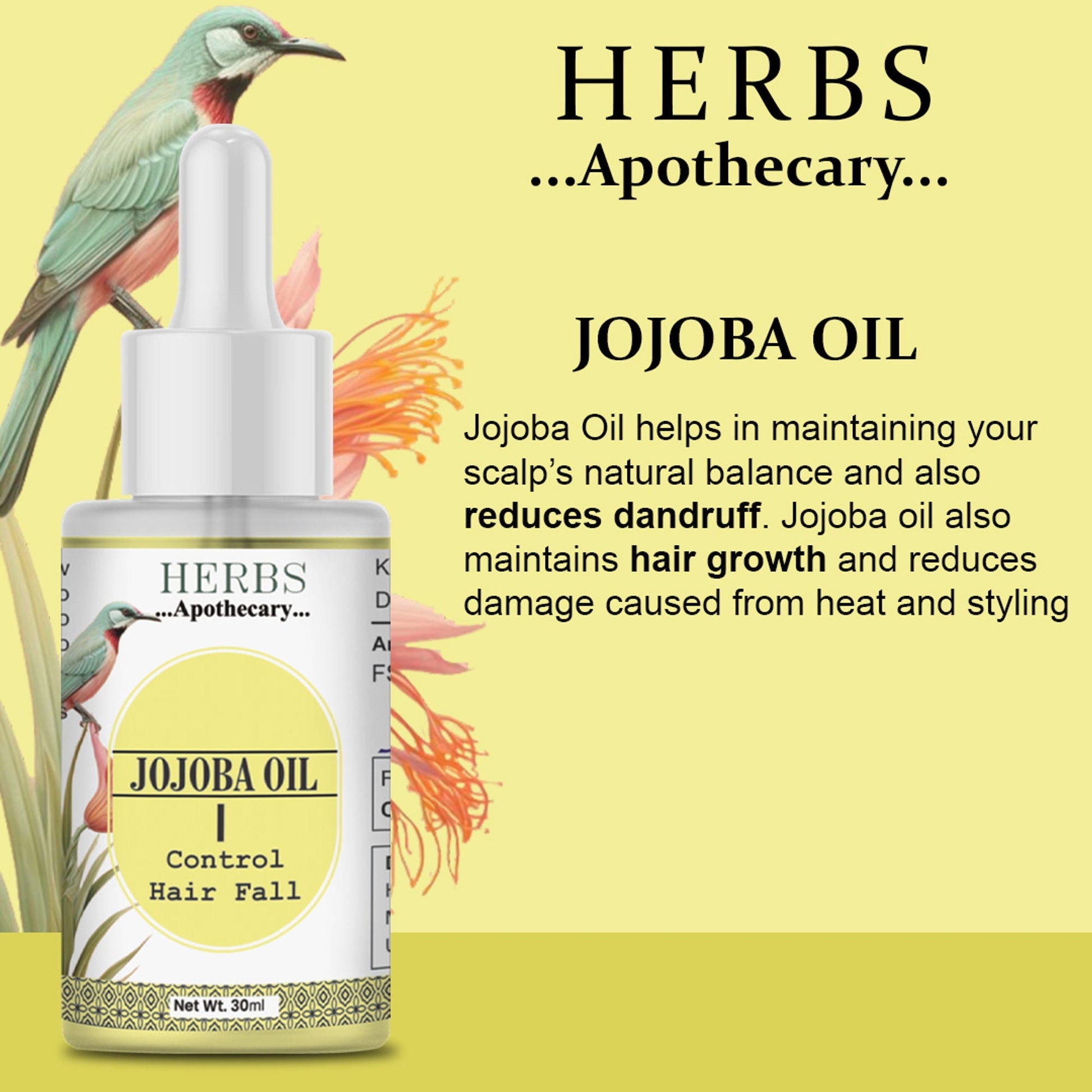 Zenvista Herbs Apothecary Jojoba Oil For Control Hair Fall  Grab2Buy Zenvista Grab2Buy