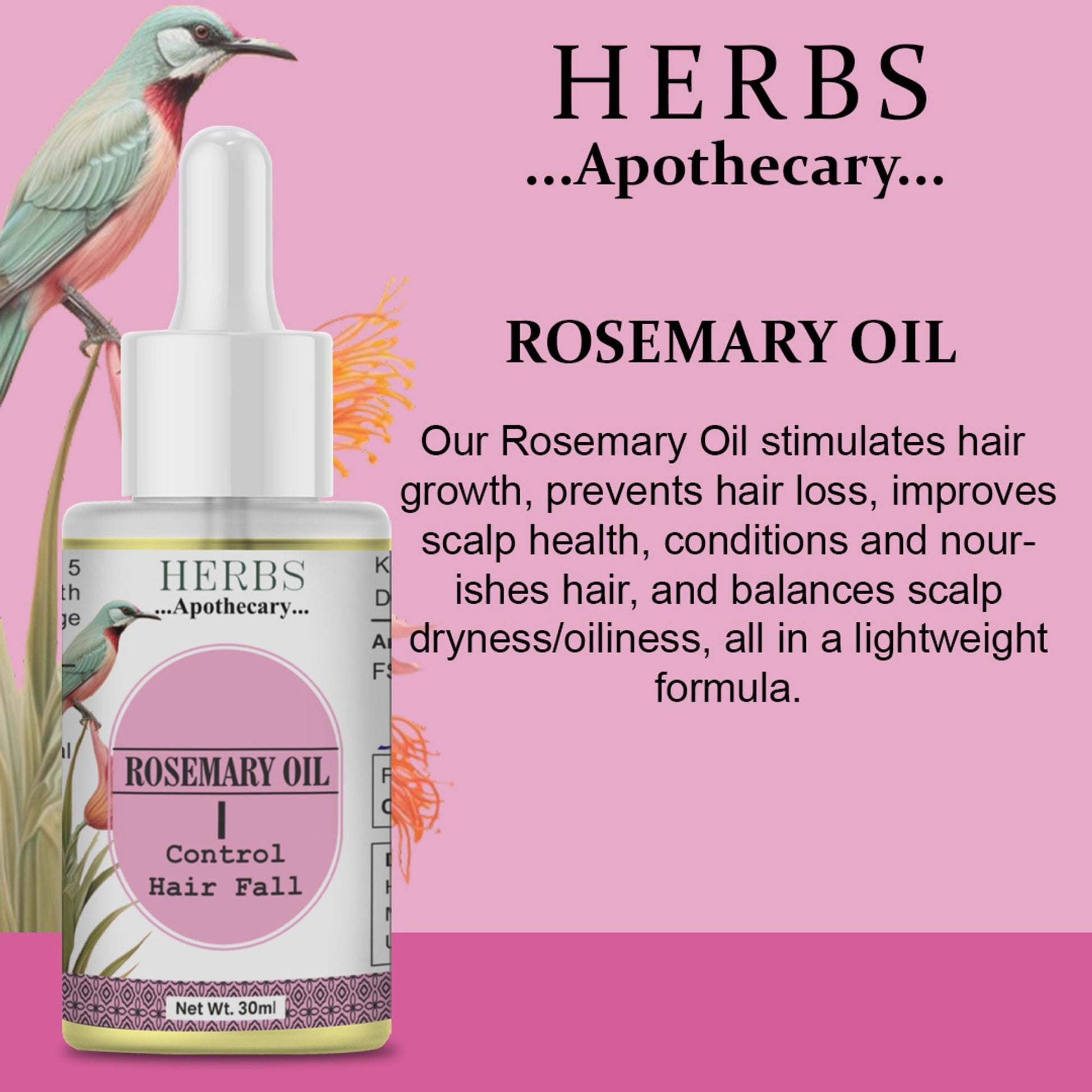 Zenvista Herbs Apothecary Rosemary Oil For Control Hair Fall  Grab2Buy Zenvista Grab2Buy