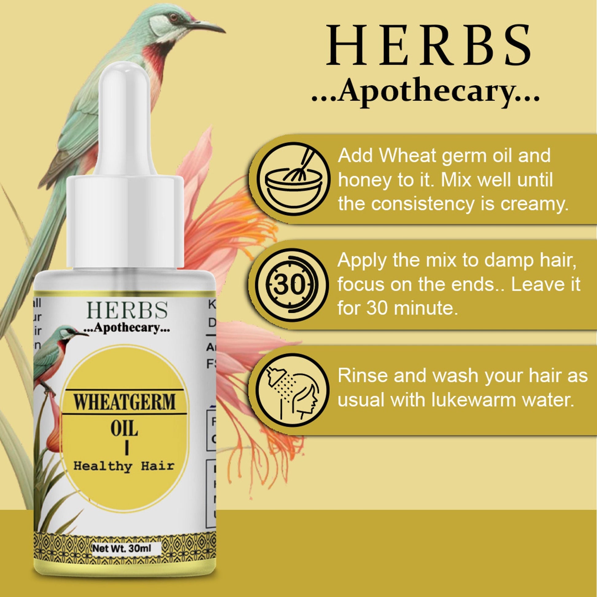Zenvista Herbs Apothecary Wheatgerm Oil For Hair  Grab2Buy Zenvista Grab2Buy