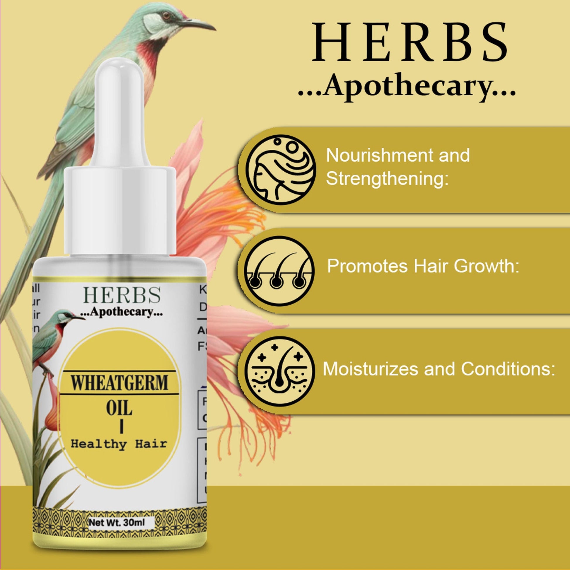 Zenvista Herbs Apothecary Wheatgerm Oil For Hair  Grab2Buy Zenvista Grab2Buy
