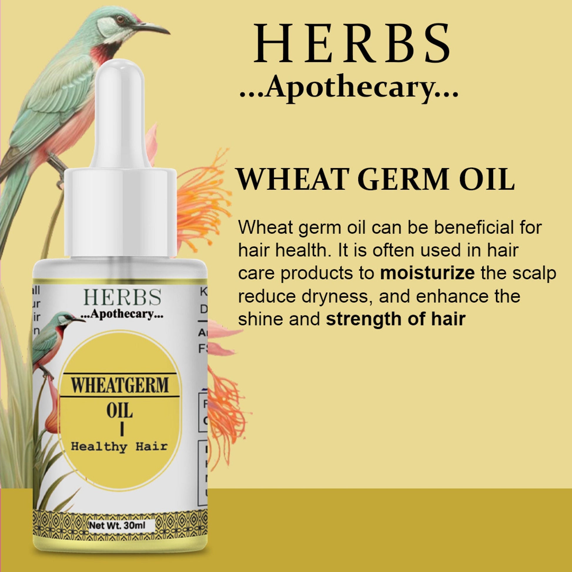 Zenvista Herbs Apothecary Wheatgerm Oil For Hair  Grab2Buy Zenvista Grab2Buy