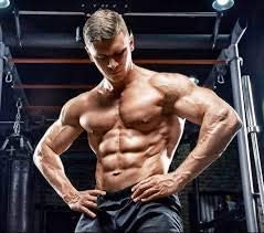 Vokin Biotech 100% Natural Max Power 800MG Testosterone Booster And Bodybuilding Supplement  Grab2Buy Vokin Biotech Grab2Buy