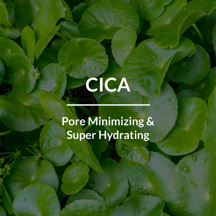 Lotus Botanicals CICA Pore Minimizing Face Toner | Swadesiicart