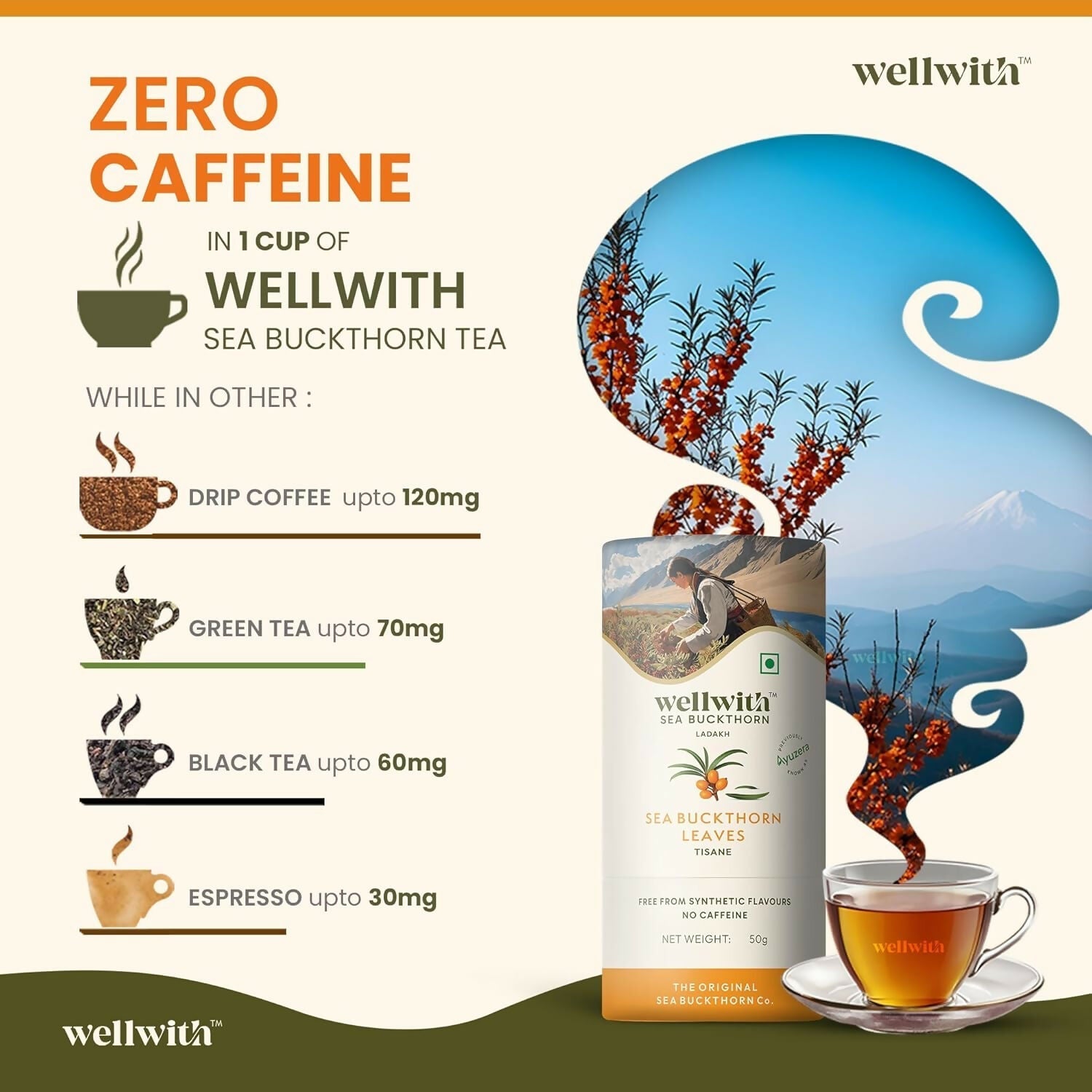 Wellwith Sea Buckthorn Raw Leaves Tea - Himalayan Herbal Leaf Tea  Grab2Buy Wellwith Grab2Buy