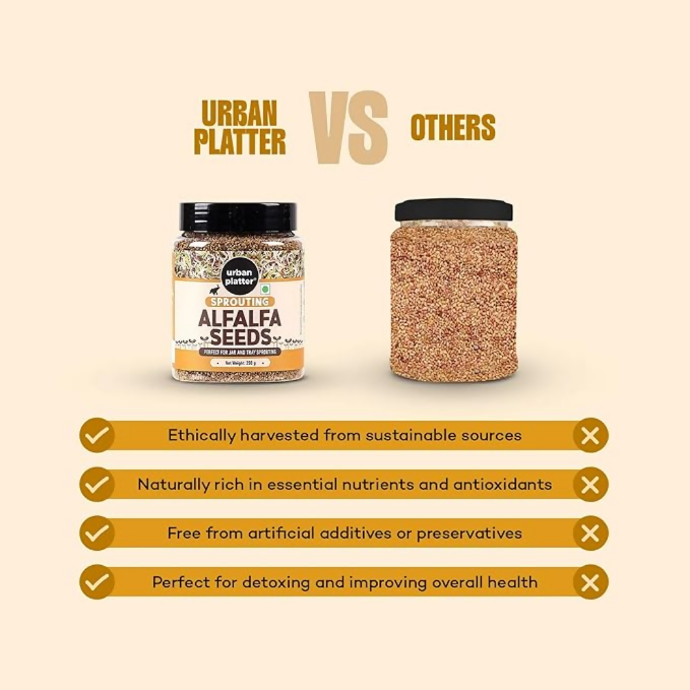 Urban Platter Alfalfa Seeds  Grab2Buy Urban Platter Grab2Buy