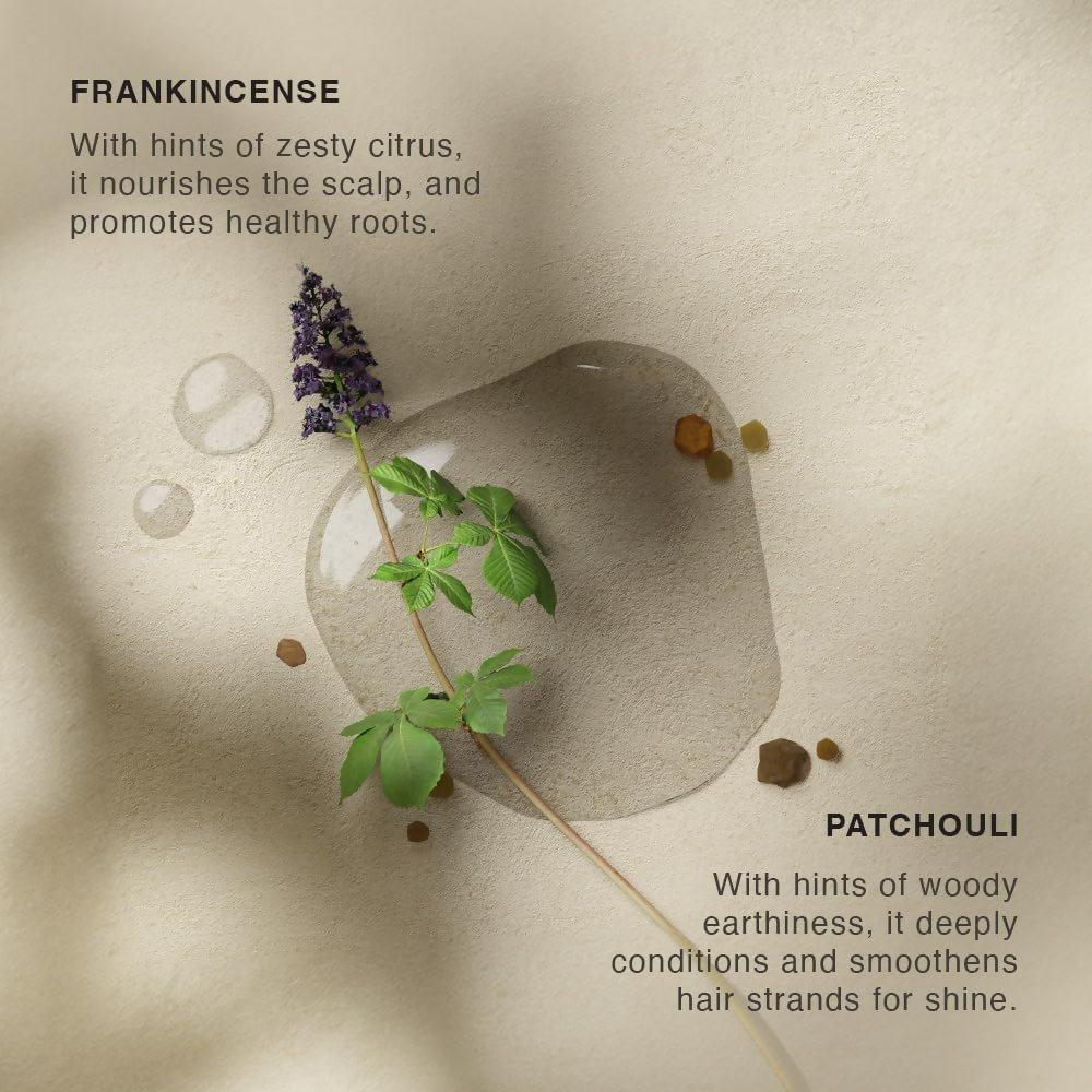Vinci Botanicals Frankincense Patchouli Hair Cleanser  Grab2Buy Vinci Botanicals Grab2Buy
